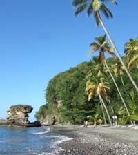 Introducci�n Caribe