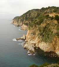 Bellas Playas, C�lido Ambiente y Aguas Cristalinas