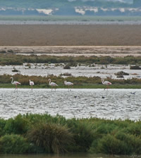 Qu� visitar en Costa de la Luz