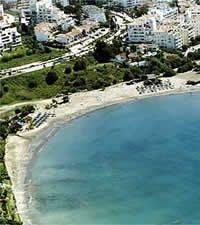 Gastronom�a en Costa del Sol