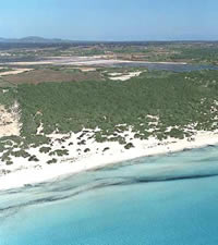 Gastronom�a en Mallorca