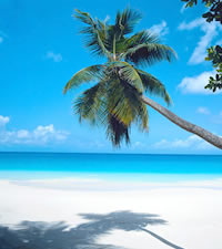 Destino M�gico y Encantador en el Caribe