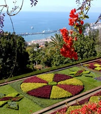 Capital de Madeira
