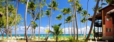 Dominicana