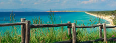 Grecia