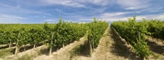 La Rioja
