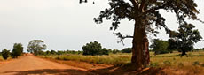 Gambia