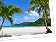 Caribe