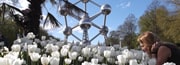 Viajes y Vacaciones en Bruselas