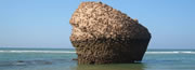 Hoteles Matalasca�as