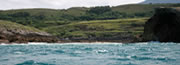 Hoteles Playa Del Cura