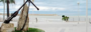Hoteles Benicarl�