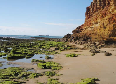 Chiclana - Sancti Petri