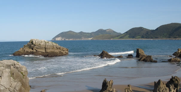 Noja