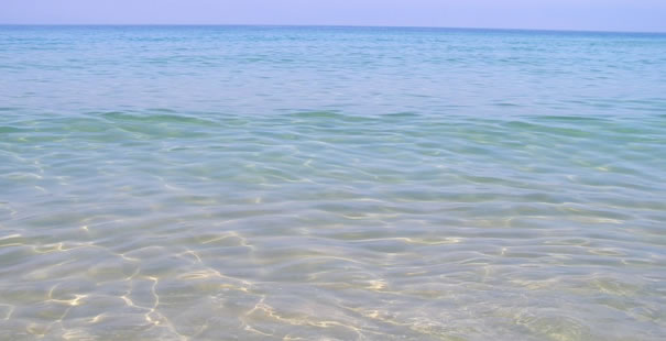 Comporta - Alc�cer Do Sal