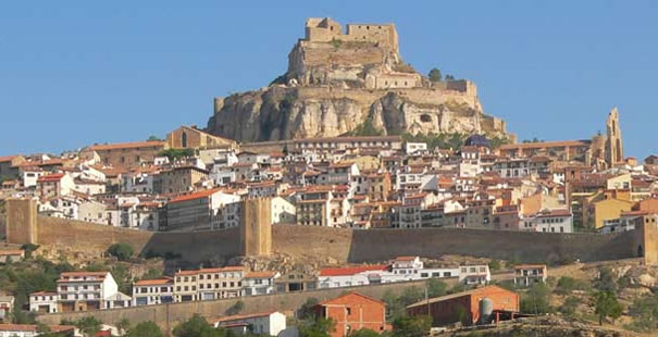 Morella