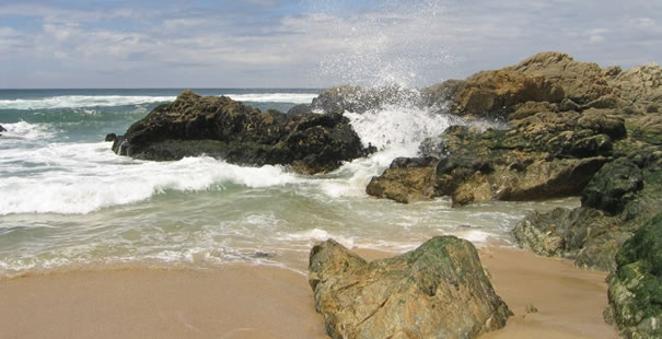 Le�a Da Palmeira