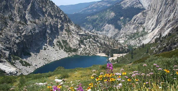 Sequoia National Park - Ca