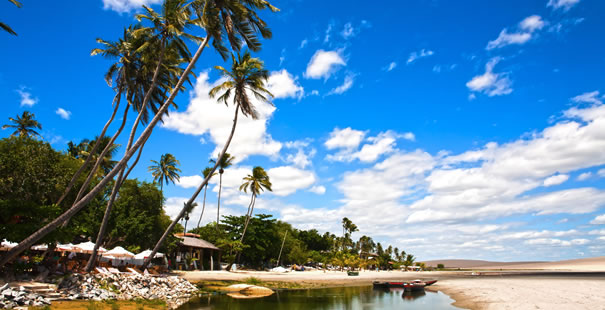 Pipa-tibau