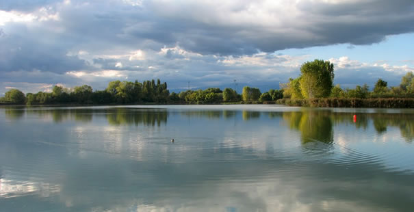 Treviso