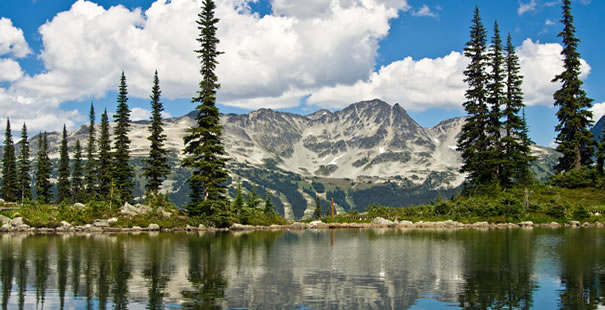 Whistler