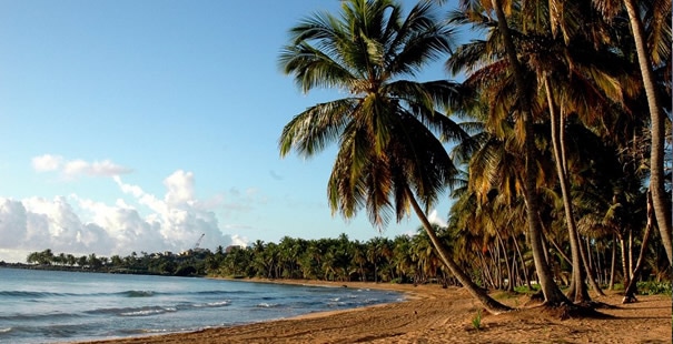 Humacao