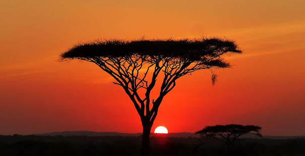 Parque Nacional Serengeti 