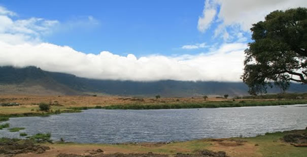 Ngorongoro