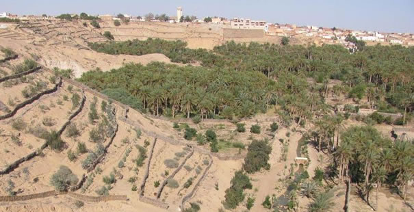 Nefta