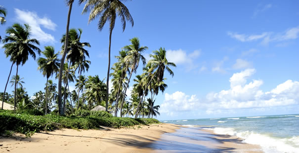 Praia Do Forte