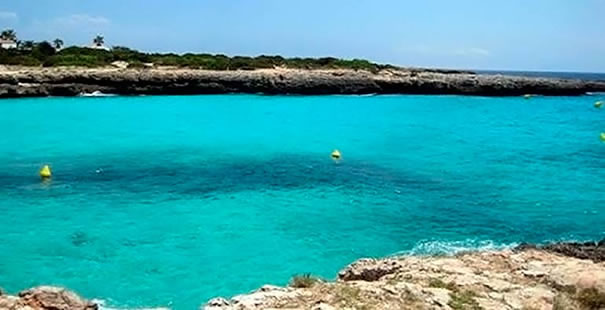 Cala En Bosch