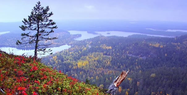 Kuusamo