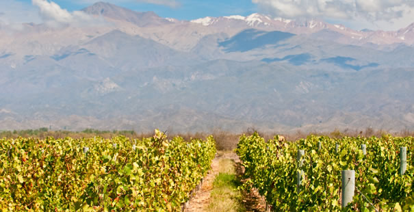 Mendoza
