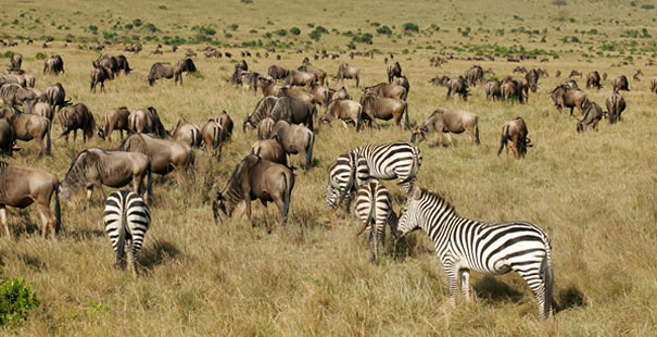 Nairobi