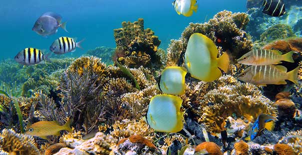 Sharm El Sheikh