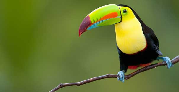 San Jos� De Costa Rica