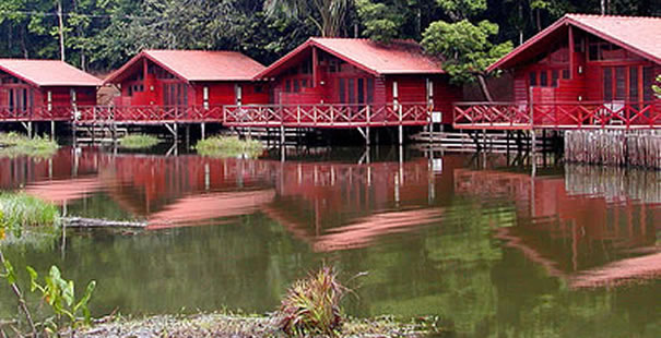Manaus