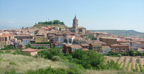 Navarrete