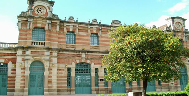 Linares