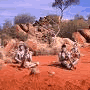 Hoteles Alice Springs
