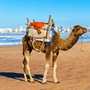 Hoteles Essaouira 