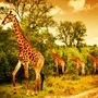 Hoteles Kruger National Park