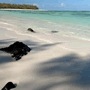 Hoteles Isla De Cerf