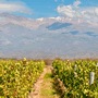 Hoteles Mendoza