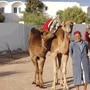 Hoteles Djerba