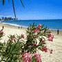 Hoteles Fortaleza 