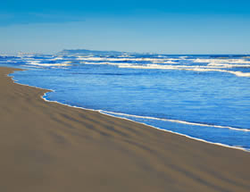 Playa Venecia
