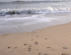Playa La Llosa