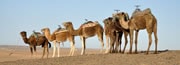 Viajes y Vacaciones en Marruecos
