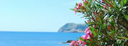 Mallorca